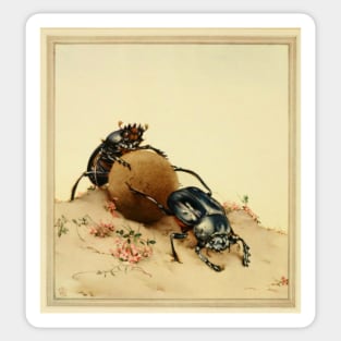 Vintage Dung Beetles Sticker